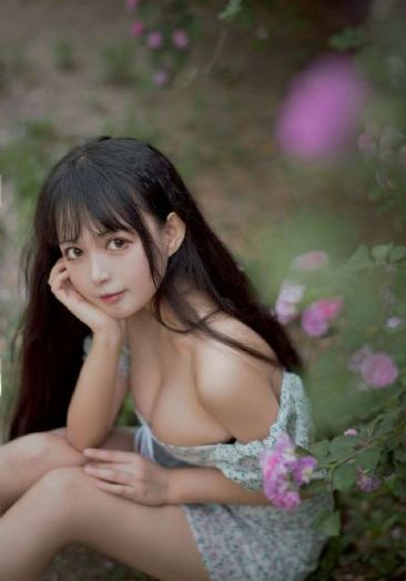 不速来客_BD免费播放
