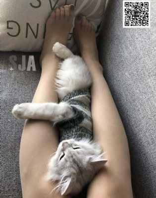 国产日韩欧美一区二区乱码在线_1080P动漫在线观看